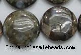 COP252 15.5 inches 25mm flat round natural grey opal gemstone beads