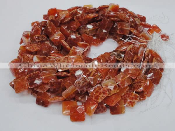 CAG650 15.5 inches 12*12mm faceted square natural fire agate beads