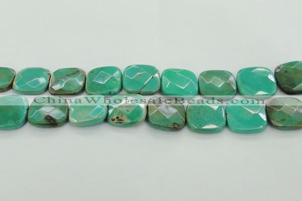 CAG7918 15.5 inches 30*30mm faceted square grass agate beads