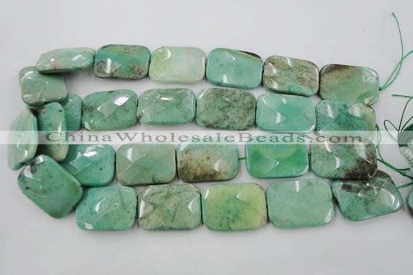 CAG7926 15.5 inches 18*25mm faceted rectangle grass agate beads