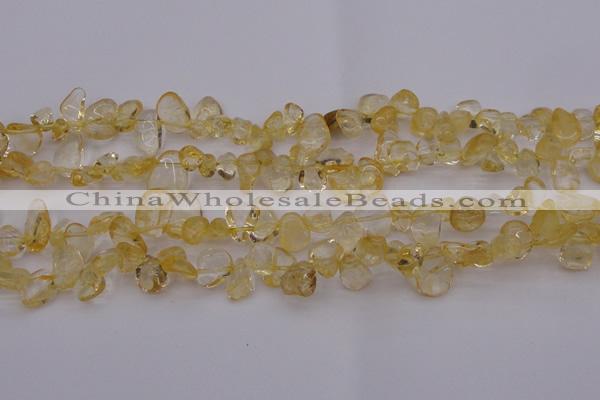 CCH612 15.5 inches 6*8mm - 10*14mm citrine chips gemstone beads