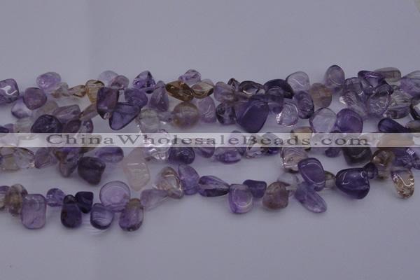 CCH614 15.5 inches 6*8mm - 10*14mm ametrine chips gemstone beads