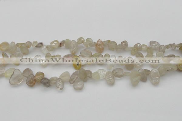 CCH622 15.5 inches 6*8mm - 10*14mm golden rutilated quartz chips beads