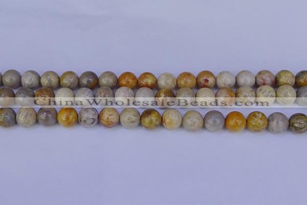 CFC203 15.5 inches 10mm round fossil coral beads wholesale