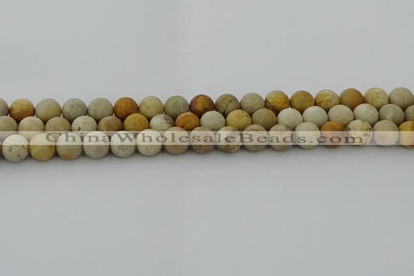 CFC222 15.5 inches 8mm round matte fossil coral beads wholesale