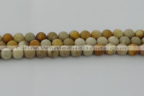 CFC224 15.5 inches 12mm round matte fossil coral beads wholesale