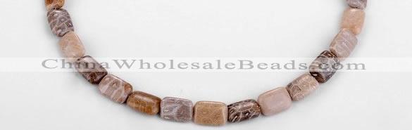 CFC50 10*14mm rectangle coral fossil jasper beads wholesale