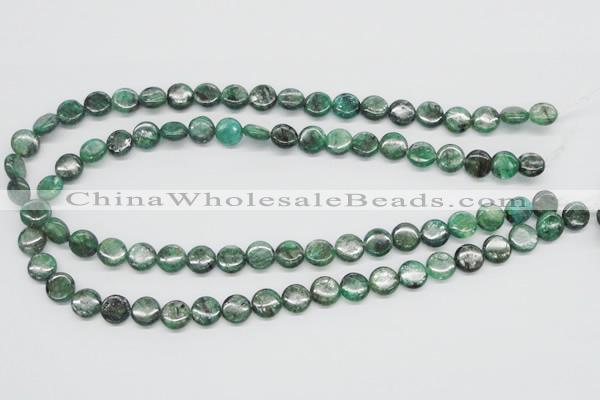 CKC107 16 inches 10mm flat round natural green kyanite beads wholesale