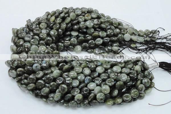 CLB38 15.5 inches 10mm flat round labradorite gemstone beads