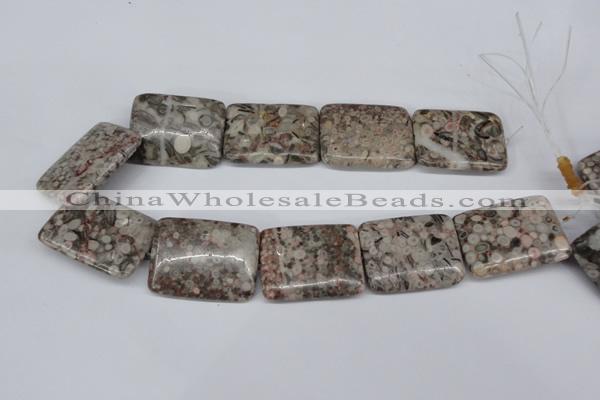 CMB29 15.5 inches 30*40mm rectangle natural medical stone beads