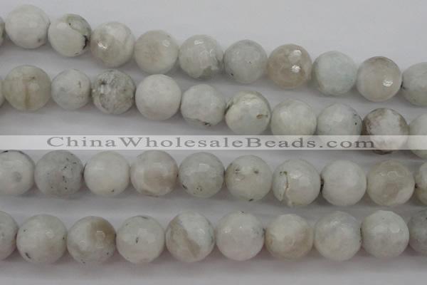 CMS805 15.5 inches 14mm faceted round white moonstone beads