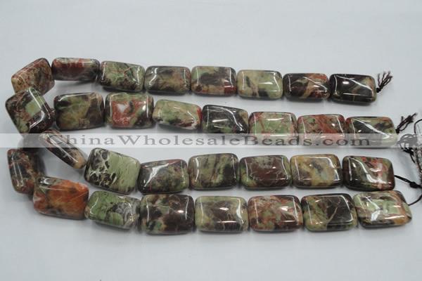 CRA25 15.5 inches 22*30mm rectangle natural rainforest agate beads