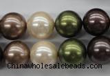 CSB1129 15.5 inches 14mm round mixed color shell pearl beads