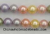 CSB330 15.5 inches 10mm round mixed color shell pearl beads