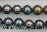 CSB366 15.5 inches 12mm round mixed color shell pearl beads