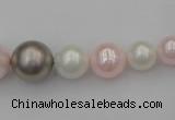 CSB406 15.5 inches 8mm - 16mm round mixed color shell pearl beads