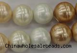 CSB636 15.5 inches 16mm whorl round mixed color shell pearl beads