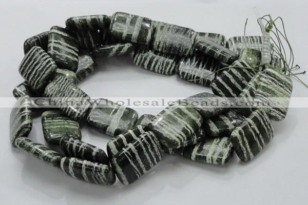 CSJ39 15.5 inches 22*30mm rectangle green silver line jasper beads