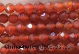 CTG1004 15.5 inches 2mm faceted round tiny red agate beads