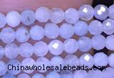 CTG1043 15.5 inches 2mm faceted round tiny aquamarine beads