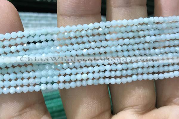 CTG1049 15.5 inches 2mm faceted round tiny amazonite beads