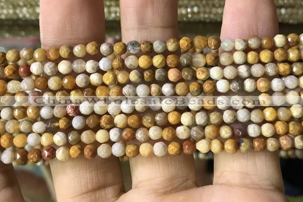 CTG1183 15.5 inches 3mm faceted round tiny fossil coral beads