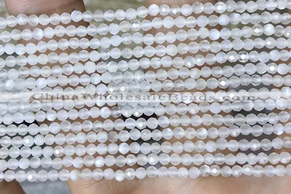 CTG1401 15.5 inches 2mm faceted round white moonstone beads wholesale