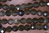 CTG1461 15.5 inches 2mm faceted round golden obsidian beads