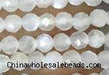 CTG1480 15.5 inches 3mm faceted round white moonstone beads