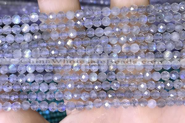 CTG1508 15.5 inches 3mm faceted round labradorite beads wholesale