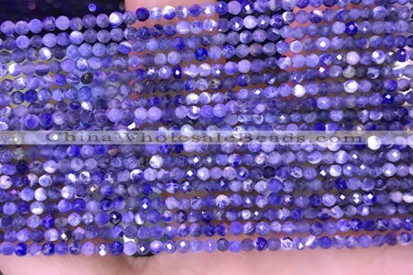 CTG1665 15.5 inches 2mm faceted round tiny sodalite beads