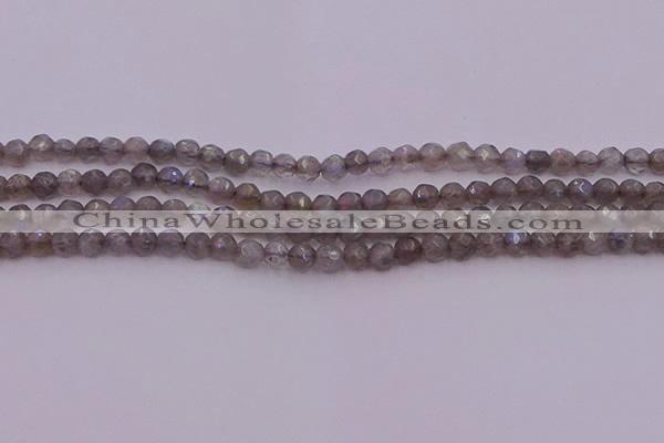 CTG509 15.5 inches 4mm faceted round tiny labradorite beads