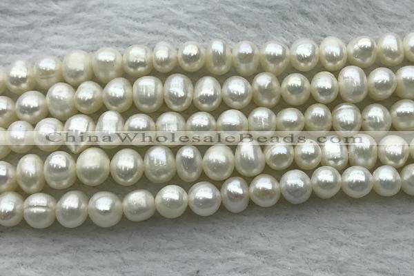 FWP44 14.5 inches 5mm - 5.5mm potato white freshwater pearl strands