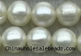 FWP72 15 inches 7mm - 8mm potato white freshwater pearl strands