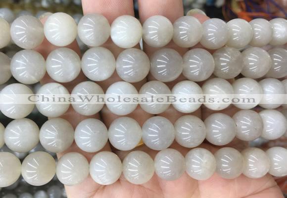 MSBS03 15 inches 10mm round moonstone gemstone beads wholesale