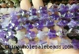 RGBS51 15 inches 14mm faceted star amethyst beads wholesale