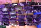 TBBS76 15 inches 8*12mm faceted tube dogtooth amethyst gemstone beads