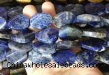 TWBS45 15 inches 18*25mm twist oval sodalite beads wholesale